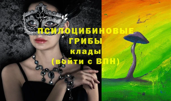 a pvp Верхний Тагил