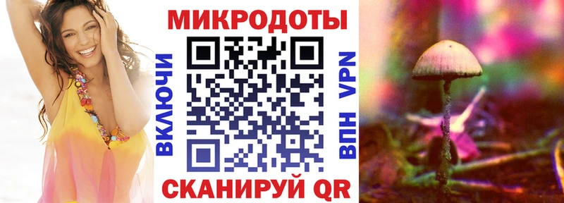Псилоцибиновые грибы мухоморы Верхняя Пышма