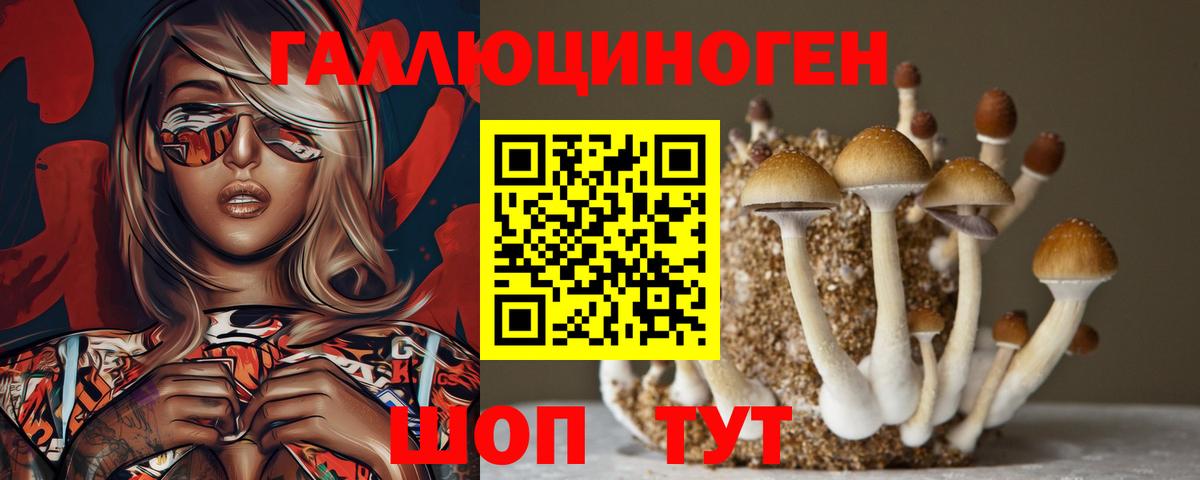 Верхняя Пышма  Псилоцибиновые грибы Psilocybine cubensis  Галлюциногенные грибы Cubensis  цена наркотик  Вход с VPN 