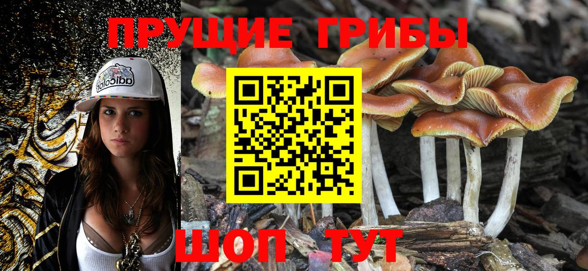 Псилоцибиновые грибы мухоморы Верхняя Пышма